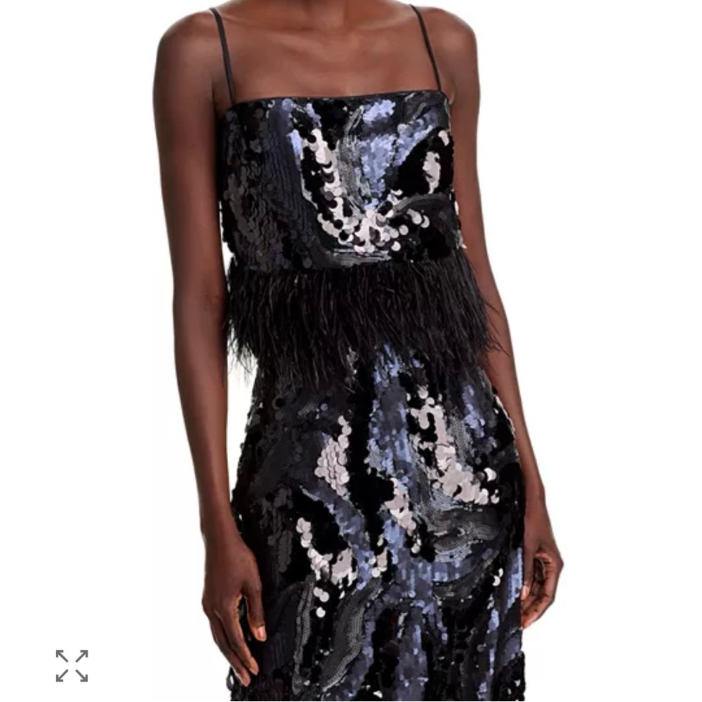 Ramy Brook Stanley Sequined Feather Trimmed Top